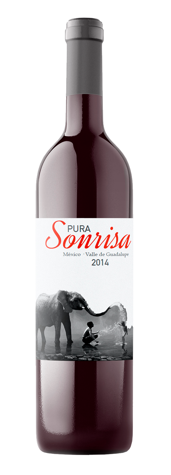 Vino Tinto Pura Sonrisa Cabernet Sauvignon 750 ml