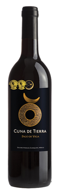 Vino Tinto Cuna de Tierra Pago de Vega 750 ml