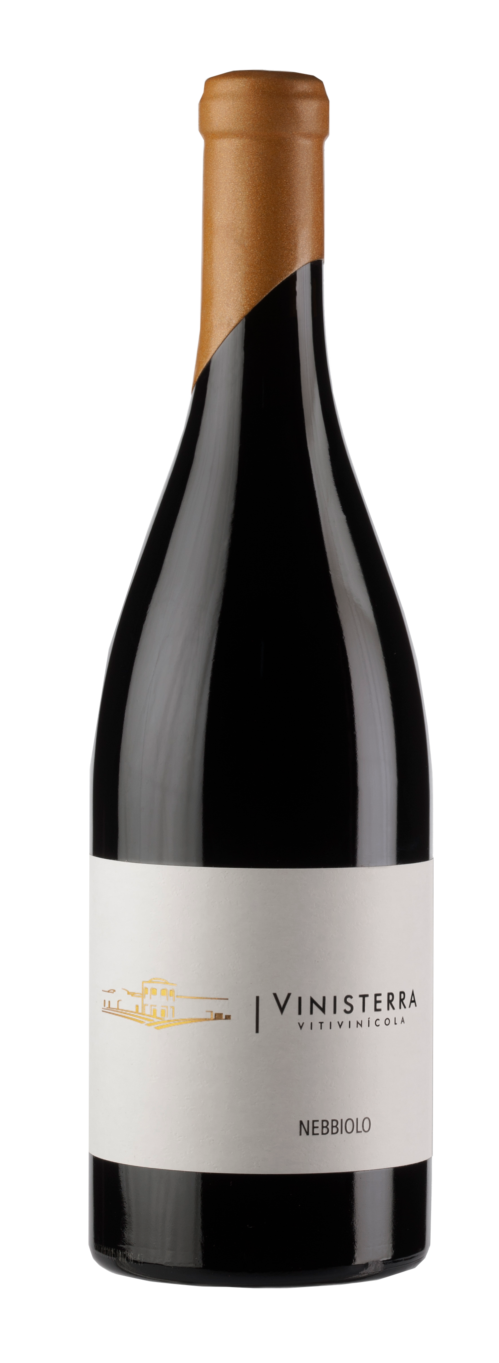 Vino Tinto Vinisterra Nebbiolo 750 ml