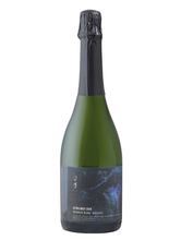 Cargar imagen en el visor de la galería, Vino Espumoso Bajalupano Braille 750 ml
